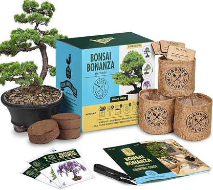 Garden Republic Bonsai Tree Kit - Mini Bonsai Seeds, 3 Types - for Indoor Plant Growing - Starter Kit with Seeds, Soil, Planters & Shears