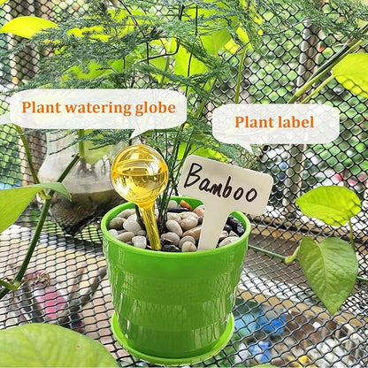 Plant Watering Devices, 6pcs Plastic Plant Watering Globes, Plant Waterer Self Watering Bulbs for Indoor Outdoor Plants