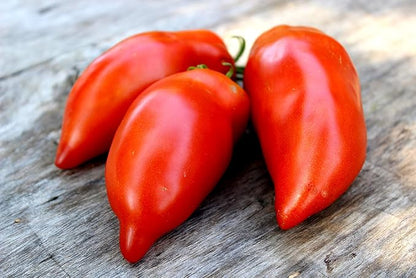 Unique Pepper-Look Tomato Vegetable Garden Seeds for Planting About 40 Seeds