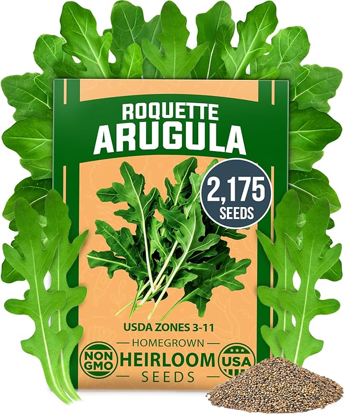 HOME GROWN Arugula Roquette Seeds 2,175+ Heirloom Non-GMO Seeds for Planting, High Germination, Fast Growing Peppery Salad Greens, Indoor Outdoor Hydroponic Garden, Microgreens (Eruca vesicaria)