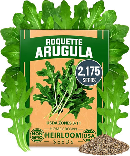 HOME GROWN Arugula Roquette Seeds 2,175+ Heirloom Non-GMO Seeds for Planting, High Germination, Fast Growing Peppery Salad Greens, Indoor Outdoor Hydroponic Garden, Microgreens (Eruca vesicaria)