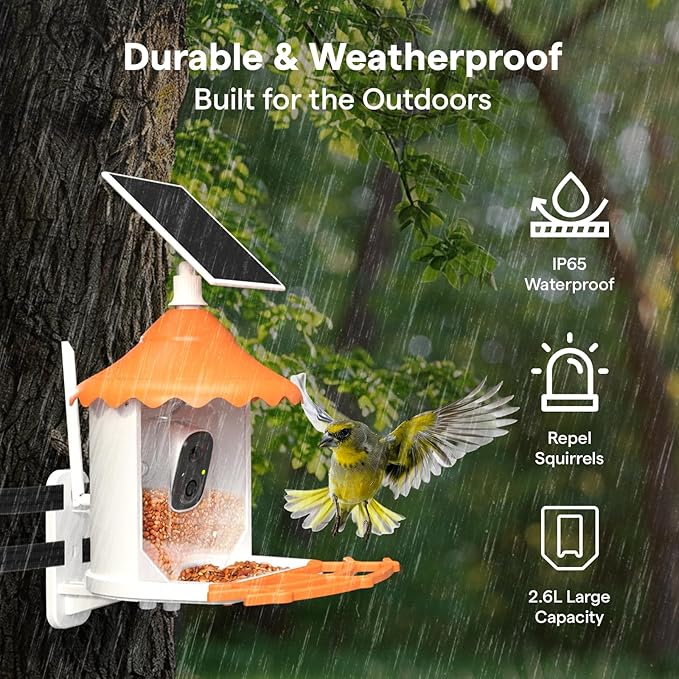 BirdsView Bird Feeder with 2K Ai Camera, Solar Panel, Hummingbird Feeder, Bird House, Live Alerts & Species Recognition – Ideal for Bird Lovers