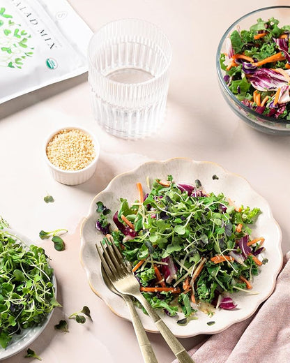 Organic Salad Mix Sprout Seeds (16 oz) – Non-GMO, Heirloom Seeds for Sprouting and Microgreens - Alfalfa, Radish, Broccoli, and Clover