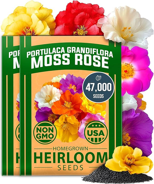 HOME GROWN Moss Rose Seeds 47,000+(Bulk Pack) Annual Flower for Ground Cover - Heirloom Non-GMO Portulaca Seeds for Planting Outdoors - Great for Low-Maintenance Gardens (Portulaca grandiflora)