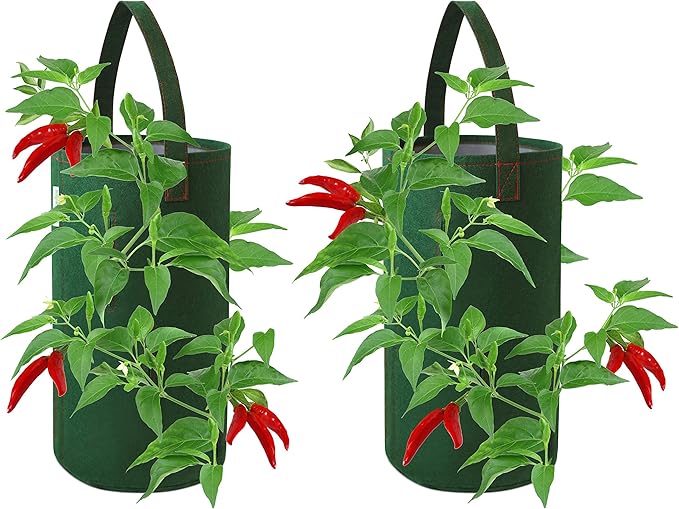 Hanging Aeration Planter for Hot Peppers, Strawberries and Herbs, Eight Holes Per Planter