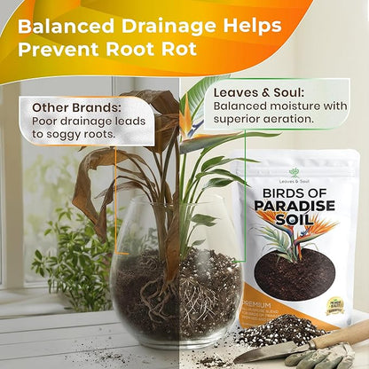 Professional Bird of Paradise Soil 8.2 Quarts Ready to Use, Premium Birds of Paradise Potting Soil for Indoor Plants, Peat Moss Coco Coir Perlite Dolomite, Well Draining Soil Made in USA