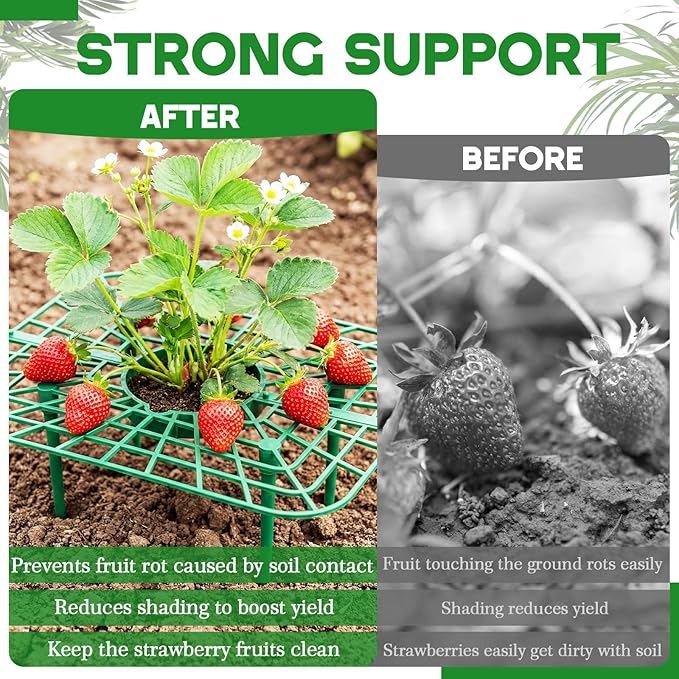 1 Sets Square Strawberry Plant Support with Mesh Plant Cover, Strawberry Growing Kit with Iron Nails for Garden Vegetables Keep Berries Clean