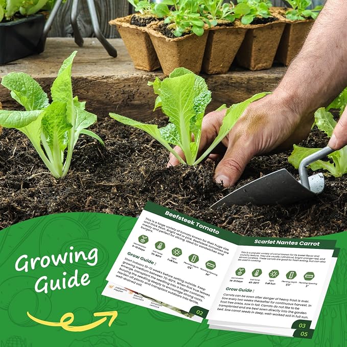 10 Vegetable Seeds Pack - Heirloom - Basil, Snap Pea, Broccoli, Bean, Jalapeño Pepper, Tomato, Lettuce, Cucumber, Carrot, Zucchini Seeds for Planting Home Garden