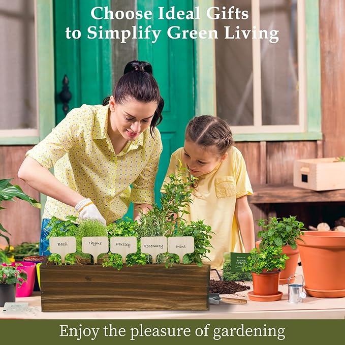 5 Herb Garden Planter Indoor with Wooden Box, Home Kitchen Seed Starter Kit Including Basil, Thyme, Parsley, Rosemary, Mint, Birthday, Mothers Day, House Warming, Gardening Gifts for Women, Mom