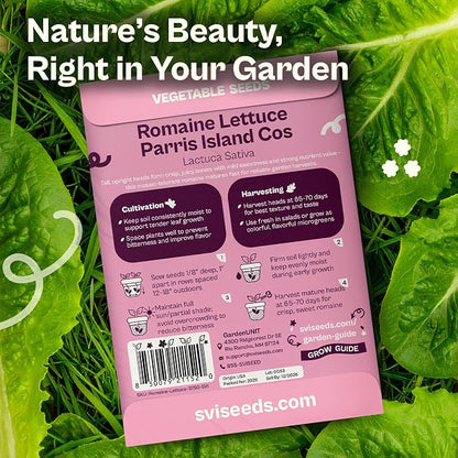 SVI 3750 Parris Island Cos Romaine Lettuce Seeds (Lactuca Sativa) – Green Leaf Lettuce Romaine Seed Packets – Disease Resistant, Heirloom Vegetable Seeds for Outdoor Vegetable Garden