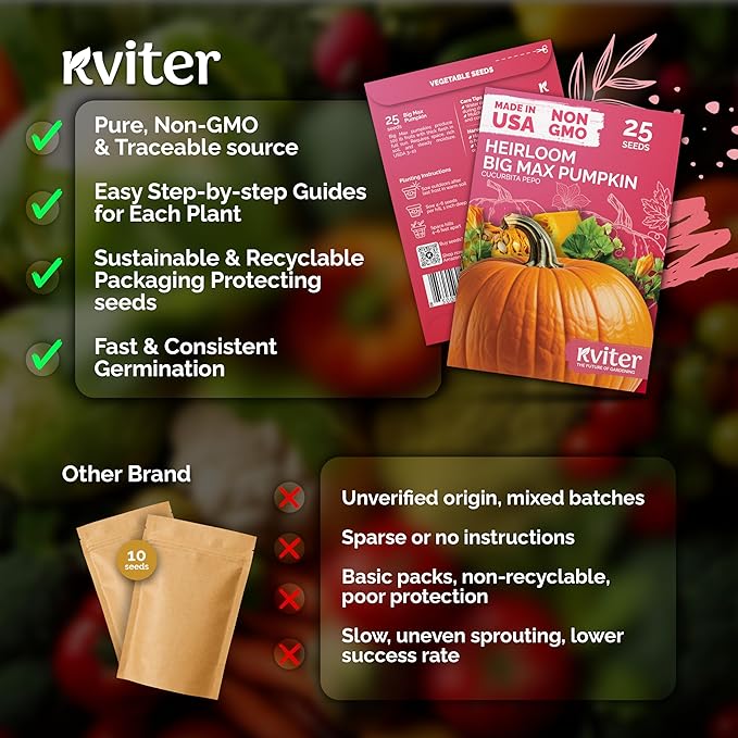 KVITER 25 Big Max Pumpkin Seeds for Planting (Cucurbita Pepo) – Giant Heirloom & Pumpkin Seeds, Up to 100 lbs – Ideal Vegetable Seed Packets for Home Outdoor Garden