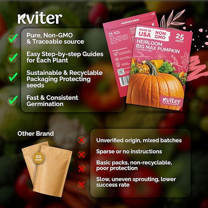 KVITER 25 Big Max Pumpkin Seeds for Planting (Cucurbita Pepo) – Giant Heirloom & Pumpkin Seeds, Up to 100 lbs – Ideal Vegetable Seed Packets for Home Outdoor Garden