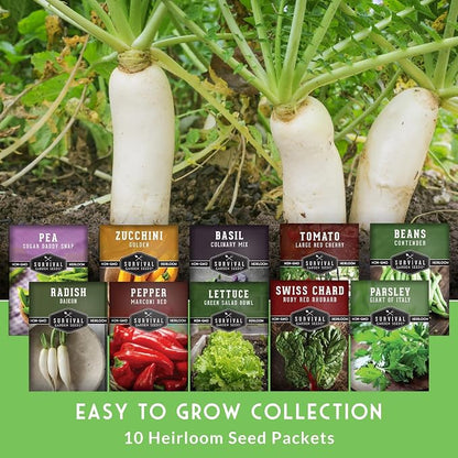 Easy to Grow Vegetable & Herb Seed Collection - 10 Packs of Non-GMO Heirloom Open-Pollinated Veg & Herb Essentials for Gardening Beginners - Seed Saver Instructions on Packets - Survival Garden Seeds