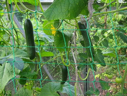 Trellis Netting for Climbing Plants - Heavy Duty Garden Trellis Netting for Cucumber, Vine, Fruits & Vegetables Tomato Plants Trellis Net, Climbing Vining Plants (1-Pack 16.4' x 6.6'Ft)