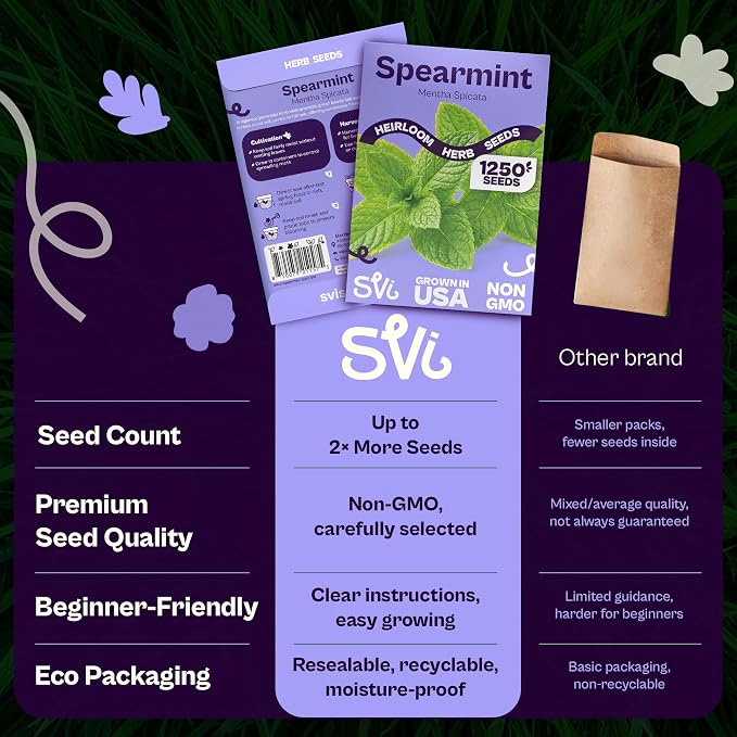 SVI 1250 Spearmint Seeds (Mentha spicata) – Mint Green Seed Packets, Aromatic Mint Leaves Fresh for Spearmint Tea, Natural Herbs – Heirloom Herb Seeds Indoor Herb Garden & Outdoor Garden, Containers