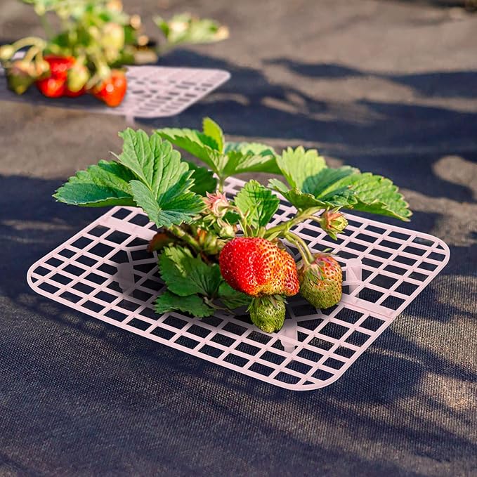 IUIBMI 20 Pack Strawberry Supports Strawberry Holder Strawberry Growing Frame Strawberry Plant Support Strawberry Growing Racks Strawberry Plant Protectors Stand with 4 Sturdy Legs for Garden