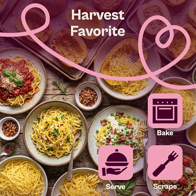 SVI 35 Winter Spaghetti Squash Seeds (Cucurbita Pepo) – Yellow Winter Squash Spaghetti Seed Packets, Long Storage – Heirloom Vegetable Seeds for Outdoor Vegetable Garden, Raised Beds, Peat Pots