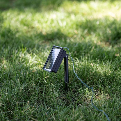 Novelty Lights 100 Light Solar Powered LED Outdoor Mini Light String, 34 Feet on Green Wire, Warm White 5mm Bulbs, Automatic Dusk to Dawn Operation