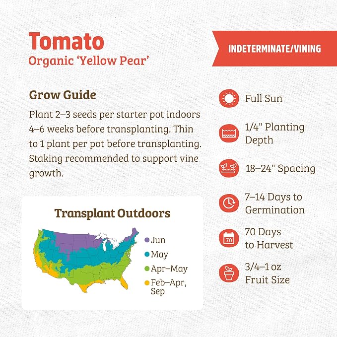 Back to the Roots 100% Organic Seed Packet - Tomato 'Yellow Pear' 100mg