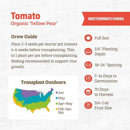 Back to the Roots 100% Organic Seed Packet - Tomato 'Yellow Pear' 100mg