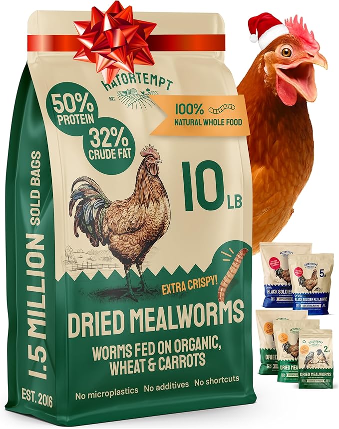 Hatortempt Bulk Dried Mealworms - 10 Lb Bag - Non-GMO Dried Mealworms for Chickens, Ducks & Wild Birds - High-Protein Chicken Feed & Bird Food