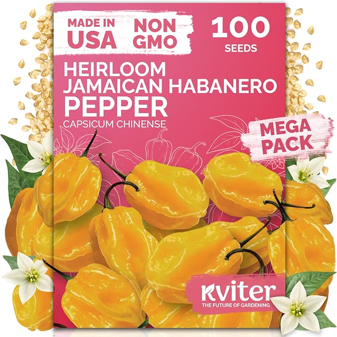 KVITER 100 Yellow Hot Jamaican Habanero Pepper Seeds (Capsicum Chinense) - Mushroom Chile Pepper, Relatively Mild Flavor, Non GMO Seed - Vegetable Seeds in Seed Packets for Outdoor Garden, Conteiners