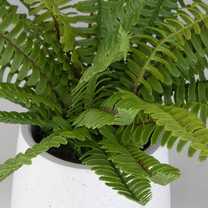 Uttermost 60238 Boston Fern - Ceramic Pot-14 Inches Tall and 14 Inches Wide