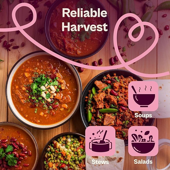 SVI 50 Dark Red Kidney Beans Seeds (Phaseolus vulgaris L.) – Rajma, Surkh Lobia, Heat-Tolerant, Protein-Rich – Heirloom Vegetable Seeds for Outdoor Garden & Raised Beds