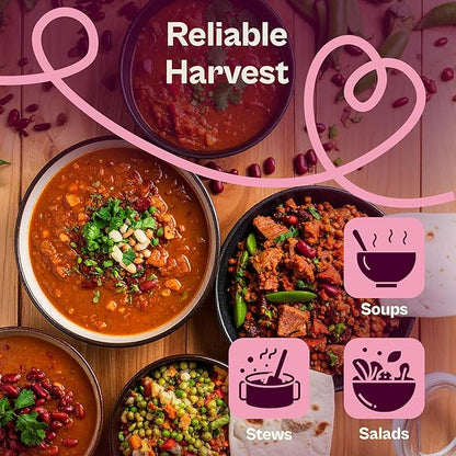 SVI 50 Dark Red Kidney Beans Seeds (Phaseolus vulgaris L.) – Rajma, Surkh Lobia, Heat-Tolerant, Protein-Rich – Heirloom Vegetable Seeds for Outdoor Garden & Raised Beds