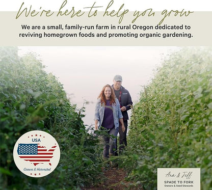 15 Certified Organic Herb Seeds Variety Pack (4X More) 10,000+ Non GMO Seeds for Planting Indoor Herb Garden or Outdoor Herb Garden Seeds for Planting | Including Basil, Rosemary & More