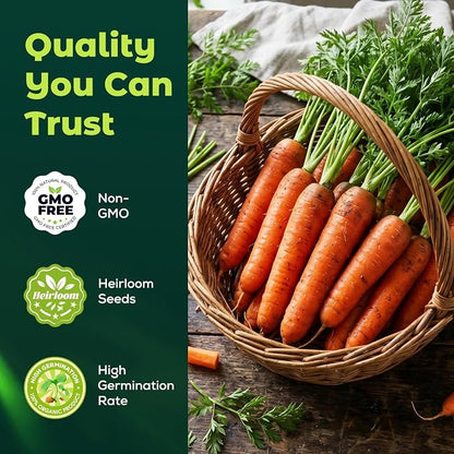 3000 Scarlet Nantes Carrot Seeds for Planting - Heirloom Variety, Fast Growing Vegetable Seeds for for Home Garden & Container Planting