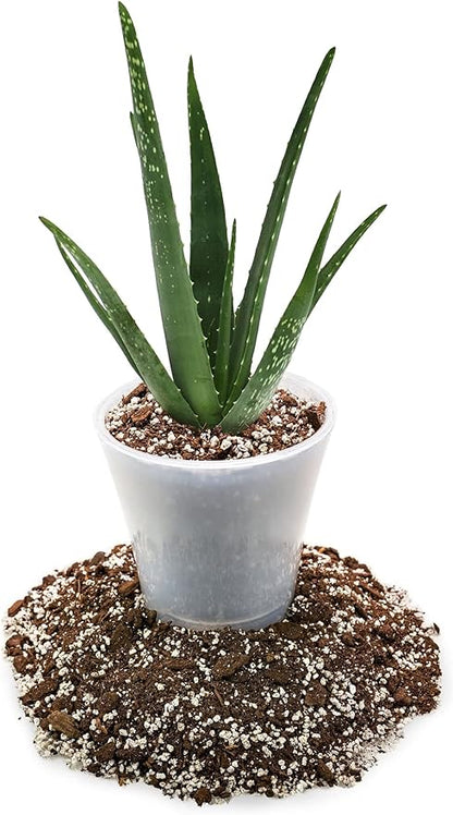 GARDENERA Premium Aloe Vera Potting Soil Mix - (3 Quart Bag)