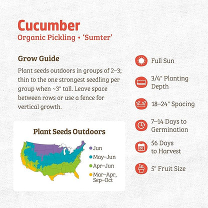Back to The Roots 100% Organic Heirloom Seeds - Pickling Cucumber Seeds for Planting Value Pack (3g Total)