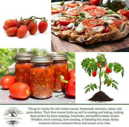 Roma Heirloom Tomato Seeds for Planting – 300+ Non-GMO Seeds, Botanical Name: Solanum lycopersicum, 90% Germination Rate, Classic Paste Tomato for Sauces & Canning, by Isla’s Garden Seeds, Gift Idea