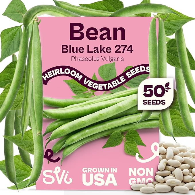 SVI 50 Blue Lake 274 Bush Green Bean Seeds (Phaseolus vulgaris) – Bush Beans Seed Packets, String Beans – Heirloom Vegetable Seeds for Outdoors, Home Garden & Containers