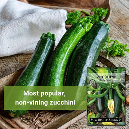 Sow Right Seeds - Black Beauty Zucchini Seeds for Planting - Non-GMO Heirloom Packet with Instructions to Plant a Home Vegetable Garden - Summer Squash - Classic Zucchini Good for Large Containers (4)