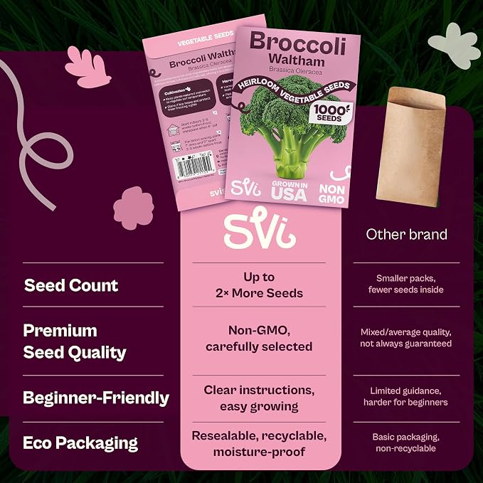 SVI 1000 Waltham Broccoli Seeds (Brassica oleracea) – Waltham 29 Broccoli Seed Packets, Brassica Seed – Cool Season Heirloom Vegetable Seeds for Outdoors, Vegetable Garden