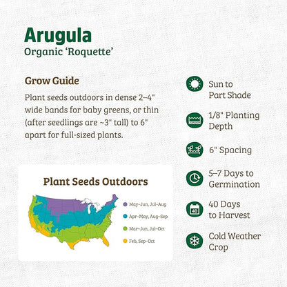 Back to The Roots 100% Organic Heirloom Seeds - Arugula 'Eruca Vesicaria' Value Pack (2.4g Total)