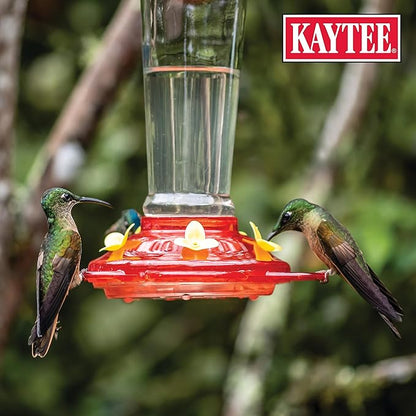 Kaytee Hummingbird ElectroNectar Wild Bird Food, 16 oz Concentrate 2 Pack, Makes 128 oz of ElectroNectar