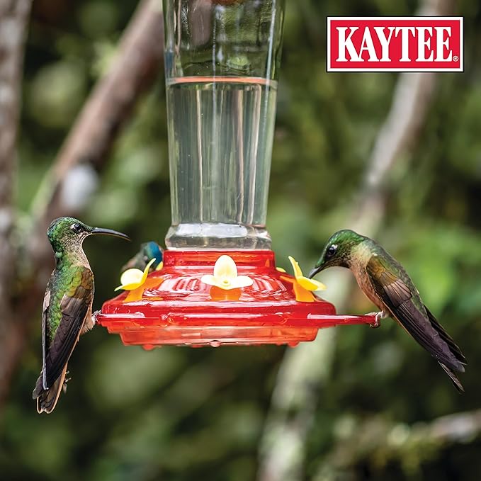 Kaytee Hummingbird ElectroNectar Wild Bird Food,16 oz Concentrate,Makes 128 oz of ElectroNectar,(Pack of 4)
