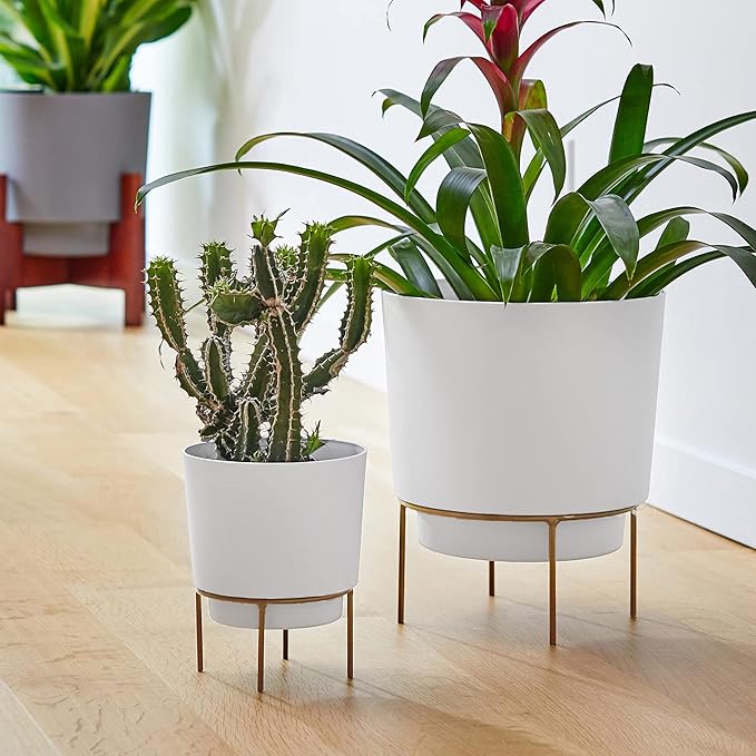 Bloem Hopson Decorative Resin Cachepot with Metal Stand, 6" Indoor and Outdoor Planter with Gold Metal Stand, White