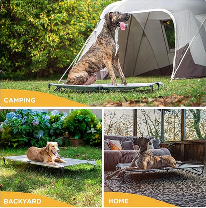 Daisy Cot, XL Foldable Elevated Dog Bed, Portable Raised Outdoor Folding Dog Cots, Cooling, Chew Proof, Waterproof, Heavy Duty Up to 160 lbs for Camping/Home, Grey, 49"x 33"x7"