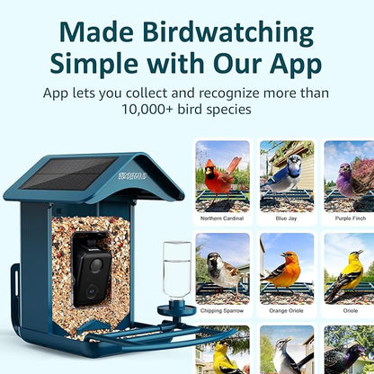 BIRDLEGEND® Bird Feeder with Camera Solar Powered, 2K Portrait Live Free AI Forever Instant Arrival Alerts with 64GB Card, Smart Camera Birds Feeders Wireless Outdoor Gift for Bird Lover, 2.4G WiFi