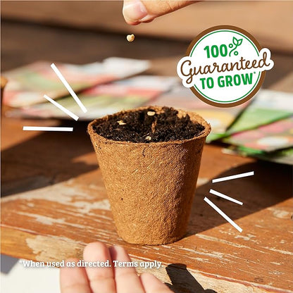 Back to The Roots 100% Organic Seed Packet Bell Pepper 'Sweet Cal Wonder'
