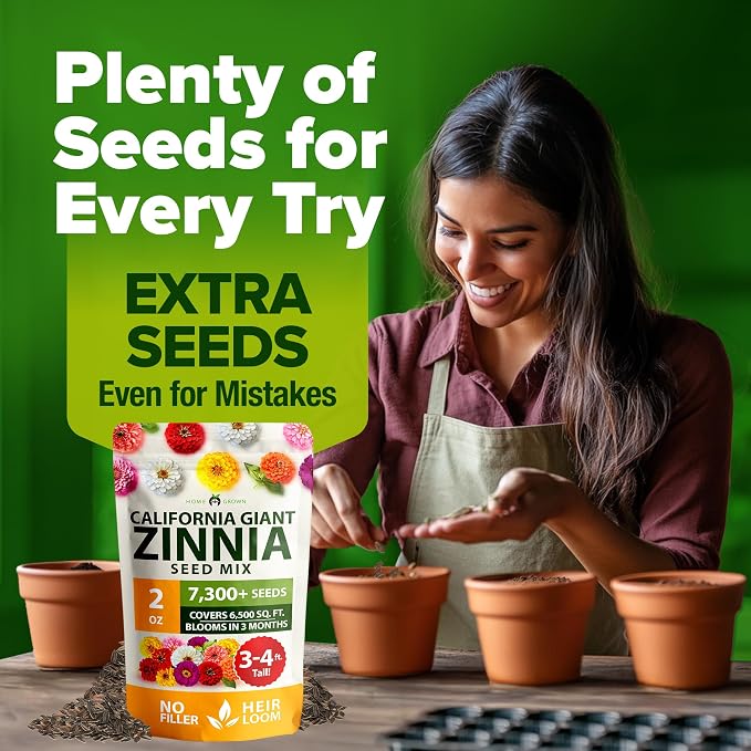 HOME GROWN Zinnia Seeds for 2026 - California Giant Mix - 7,300+ (2 oz) Plant Wildflower Blooms Bulk Seeds for Planting Flowers Outside - Pollinator Gardens (Zinnia elegans)