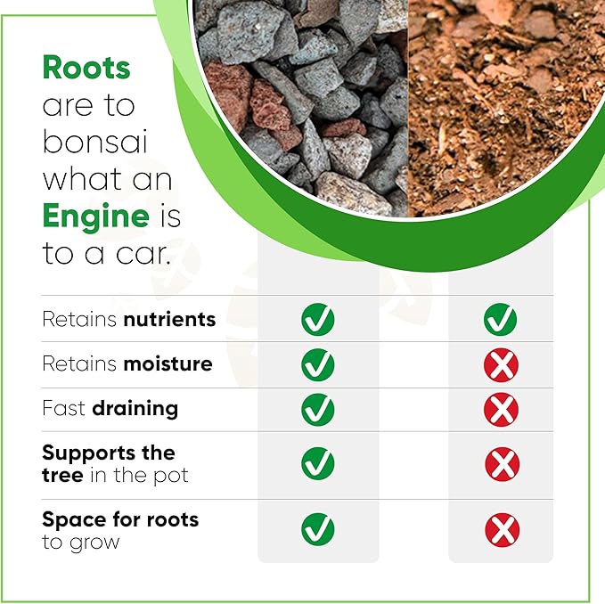 Bonsai Outlet Bonsai Soil Mix - Tinyroots All Purpose Bonsai Soil Mix Ready to Use Blend, Used for All Varieties of Bonsai Trees, 2.5 Gallons