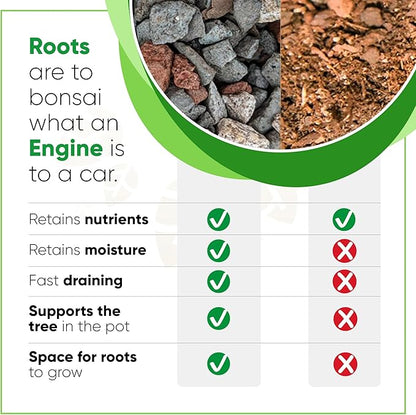 Bonsai Outlet Bonsai Soil Mix - Tinyroots All Purpose Bonsai Soil Mix Ready to Use Blend, Used for All Varieties of Bonsai Trees, 2.5 Gallons
