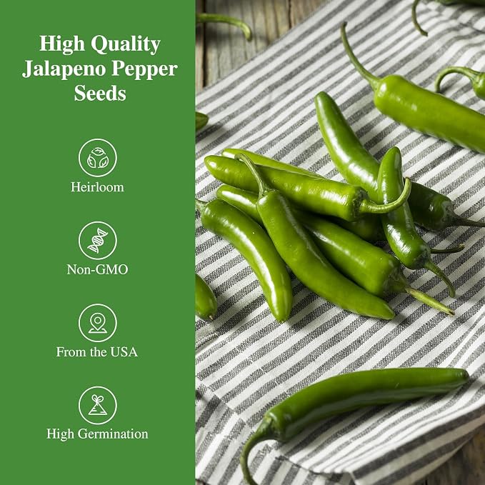 Groundio Jalapeno Pepper Seeds for Planting, Non-GMO Heirloom Vegetable Seeds for Outdoor Home Garden, Easy to Grow, Perfect for Salsa & Hot Sauce