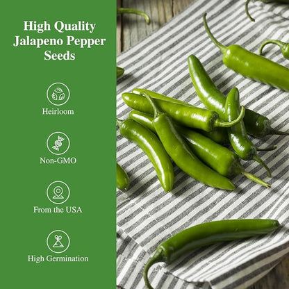 Groundio Jalapeno Pepper Seeds for Planting, Non-GMO Heirloom Vegetable Seeds for Outdoor Home Garden, Easy to Grow, Perfect for Salsa & Hot Sauce