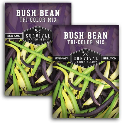 Tri Color Blend Bush Bean Seeds for Planting - Mix of Green, Yellow Wax, & Purple Beans with Stringless Pods - 3 Non-GMO Heirloom High Yield Varieties - Survival Garden Seeds (2 Packs)